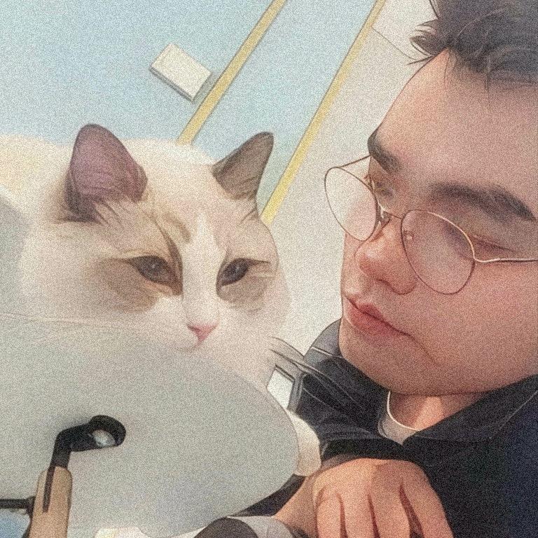 养猫的阿宇
