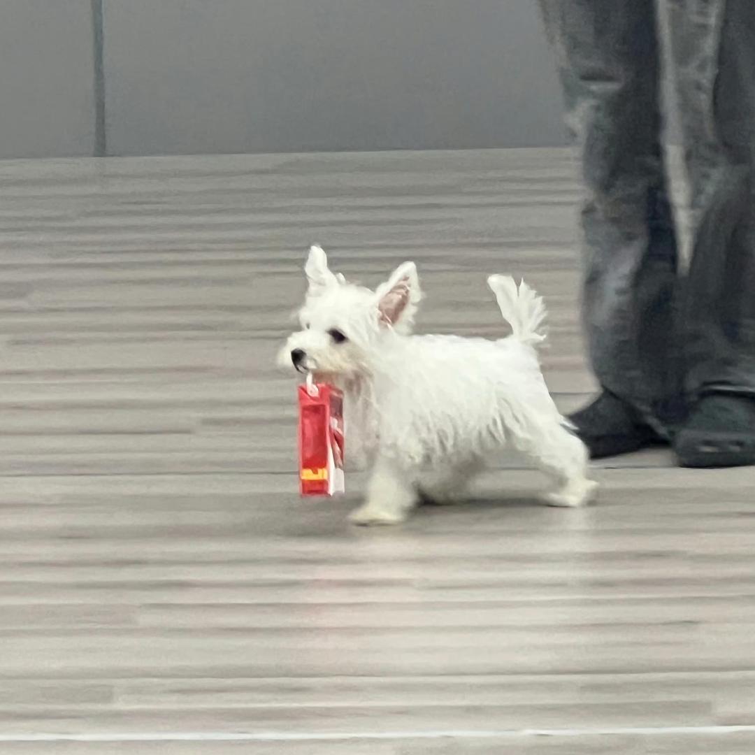 奕.