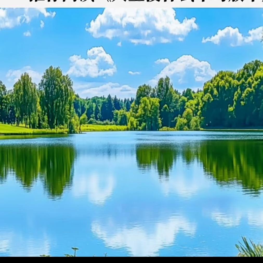 宜柯
