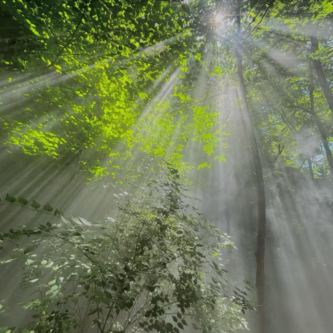 我想你奶奶和你妹妹了