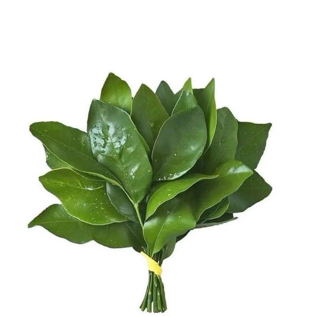 肉丸🍡清真手工丸子（可代加工）