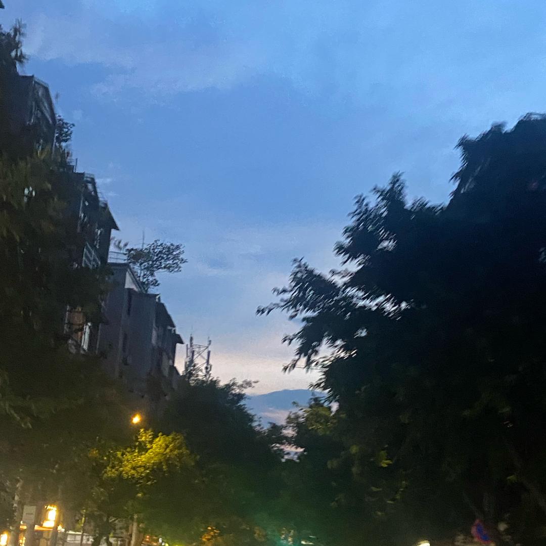 金韵年华