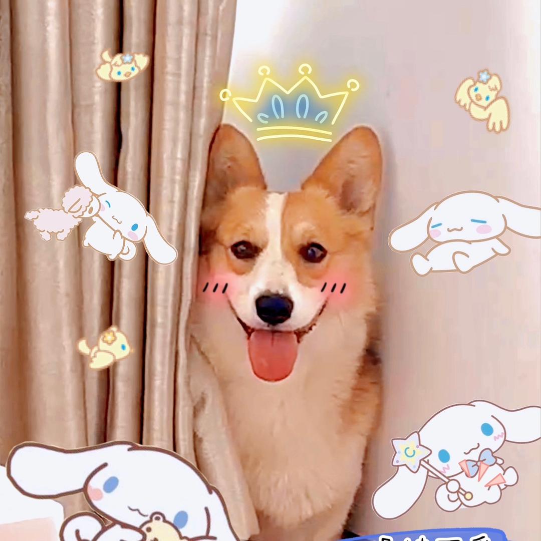 东汝.✨