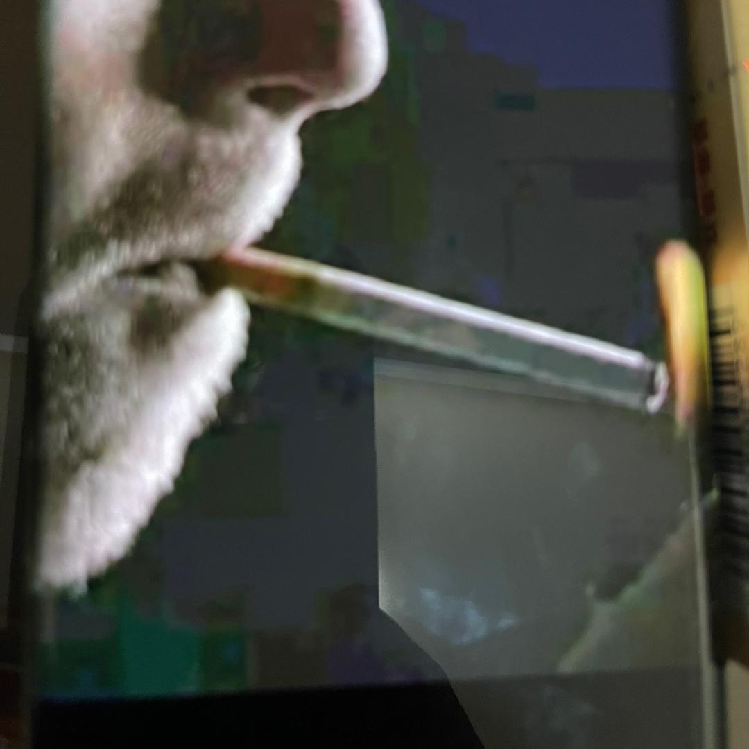 乡下人在上海