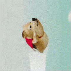 我里个逗
