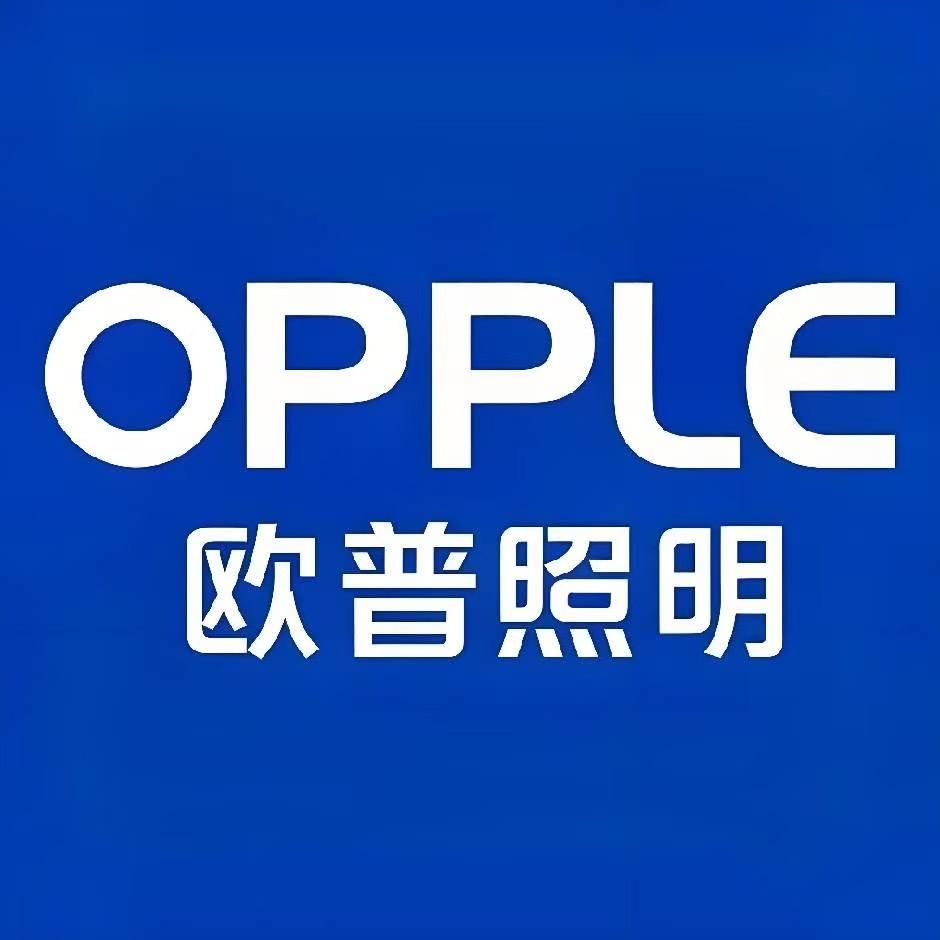 欧普照明（民族路店)
