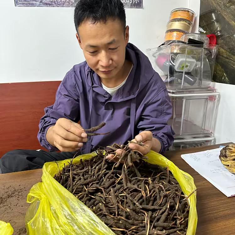 小马·特产  黑红枸杞批发零售