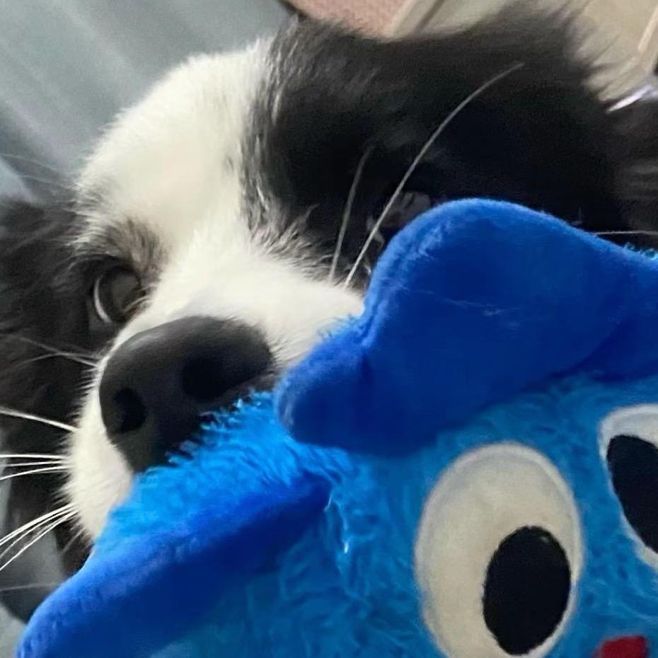 922      ㅤㅤ