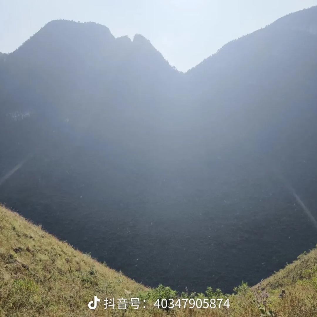 **平