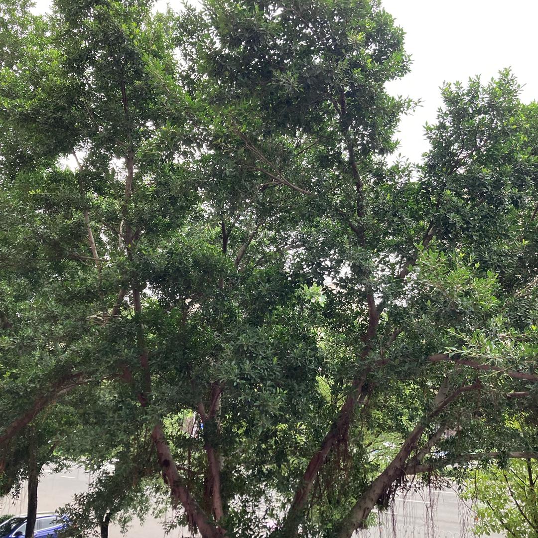 用户6261291473766