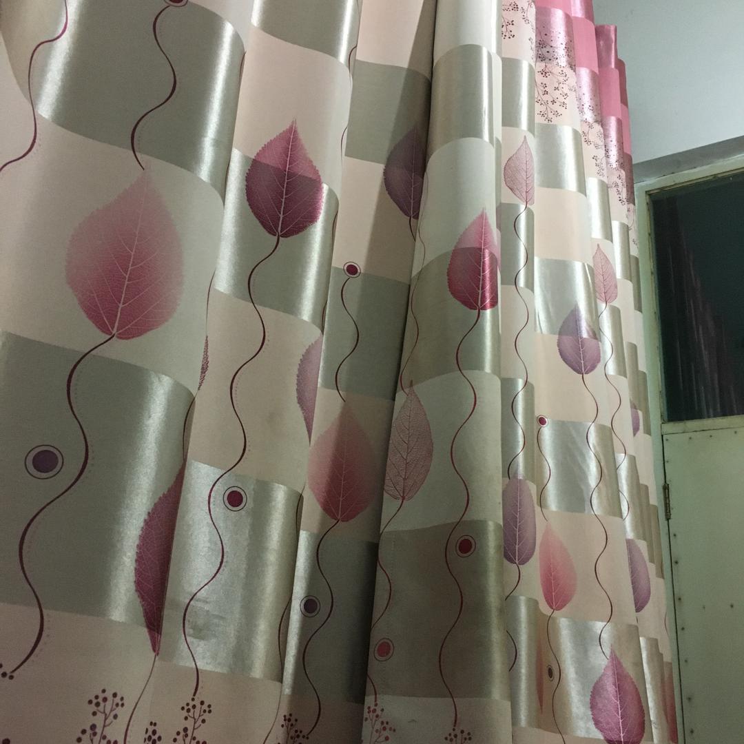 绿枫