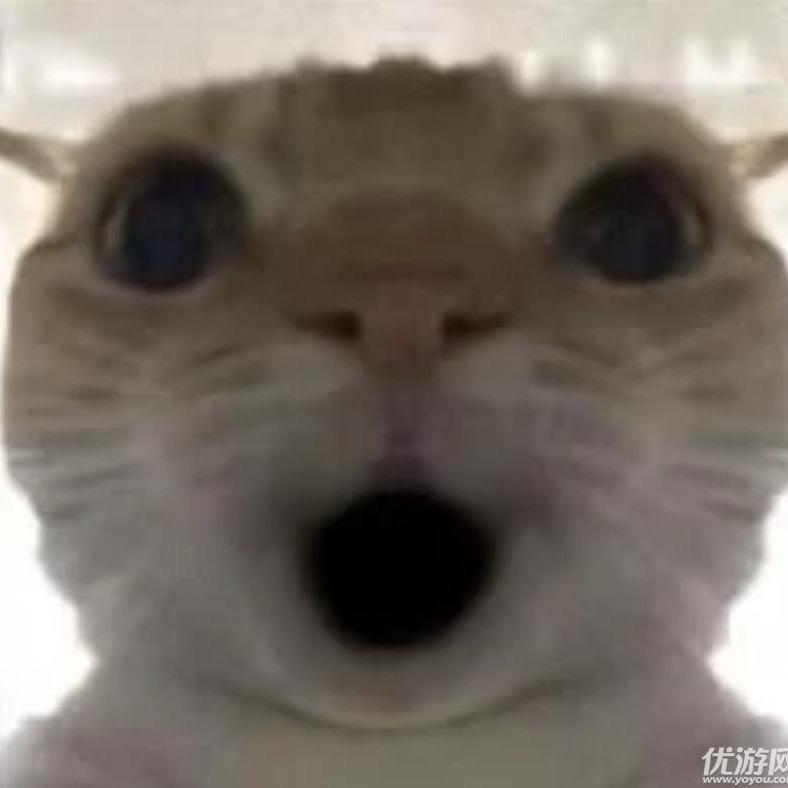 随缘跑刀（三角洲行动）