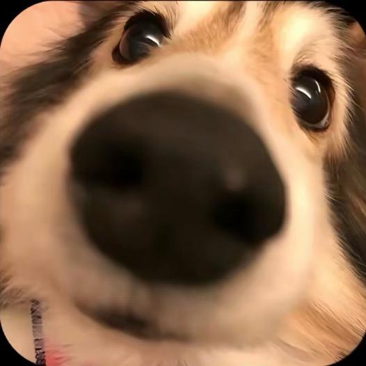 .，