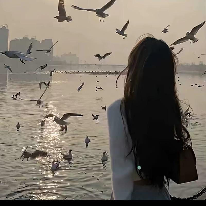 书成（三角洲免费扶贫）