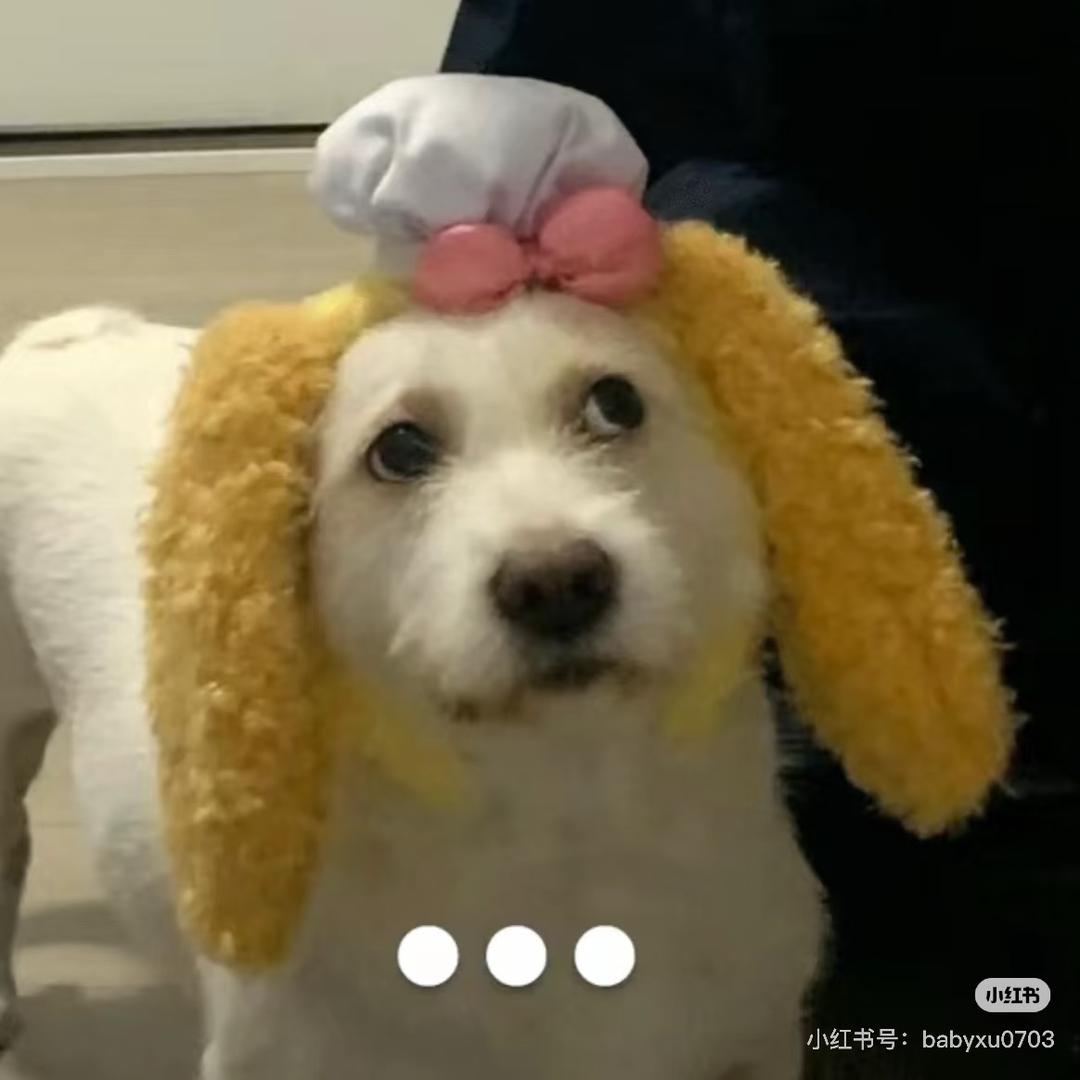 卡皮吧拉
