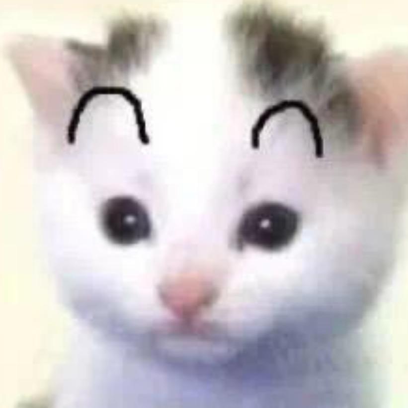 听 风.