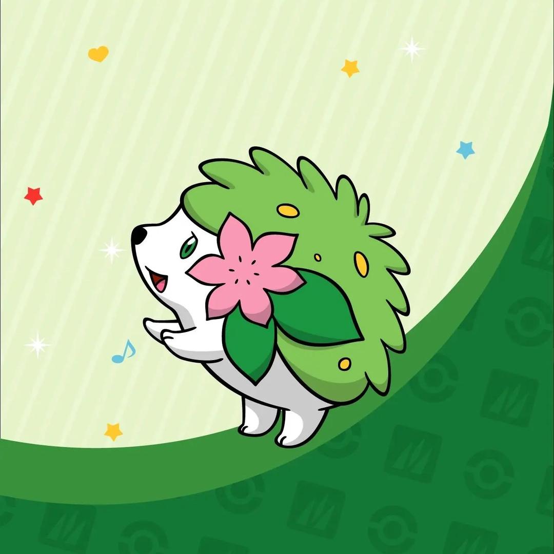 杨子孝