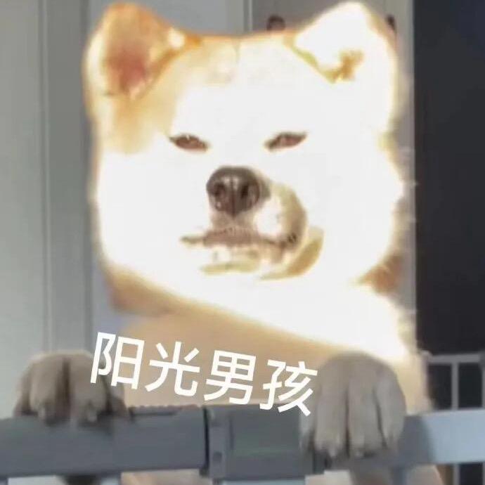 相信奇迹