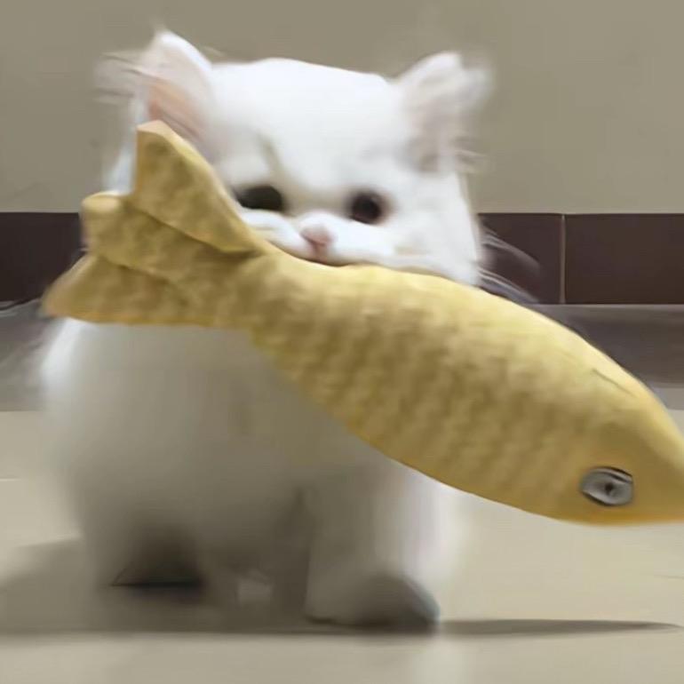 咕噜咕噜