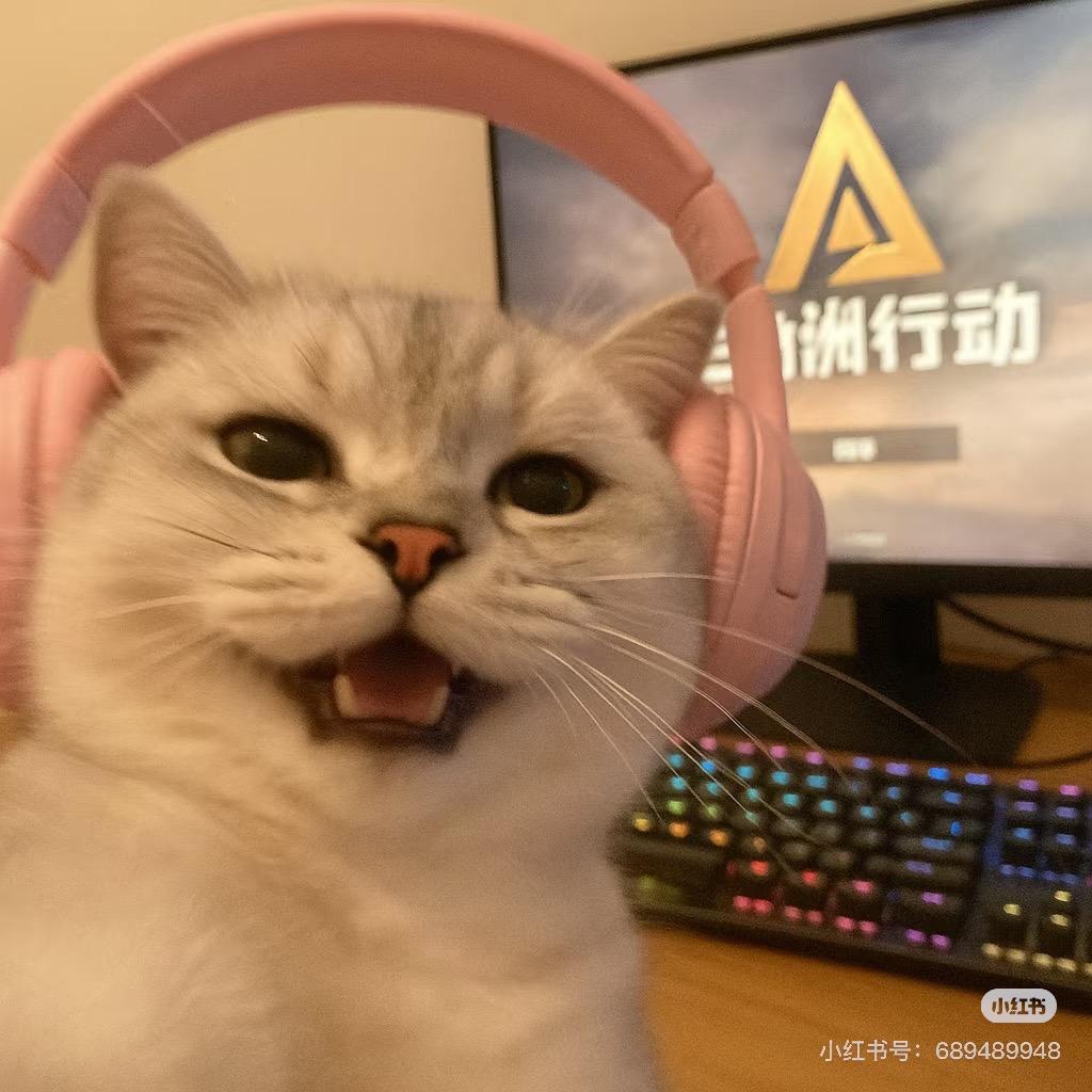 阿芒（三角洲行动）