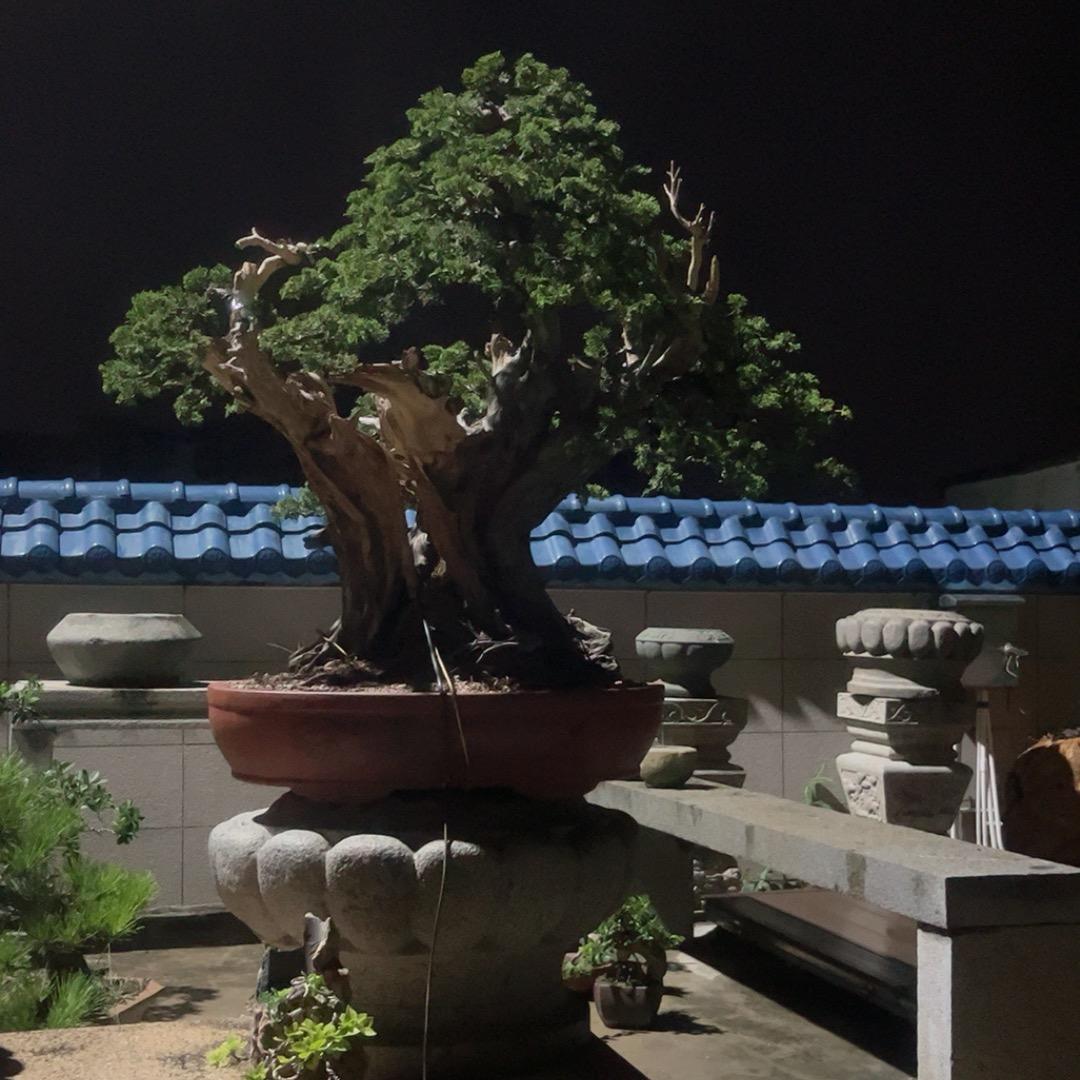 日落日升