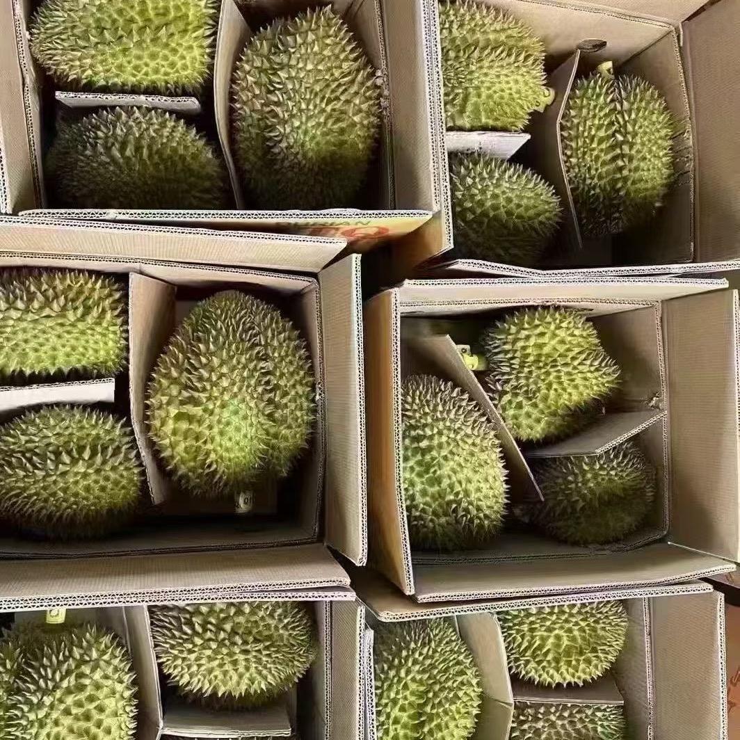 榴莲价格屠夫01