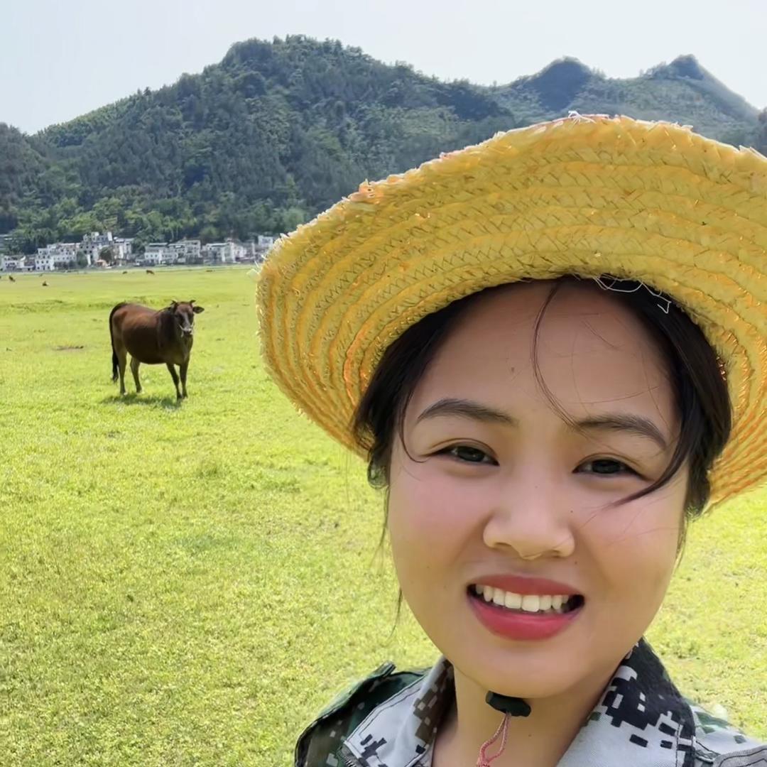 李金凤