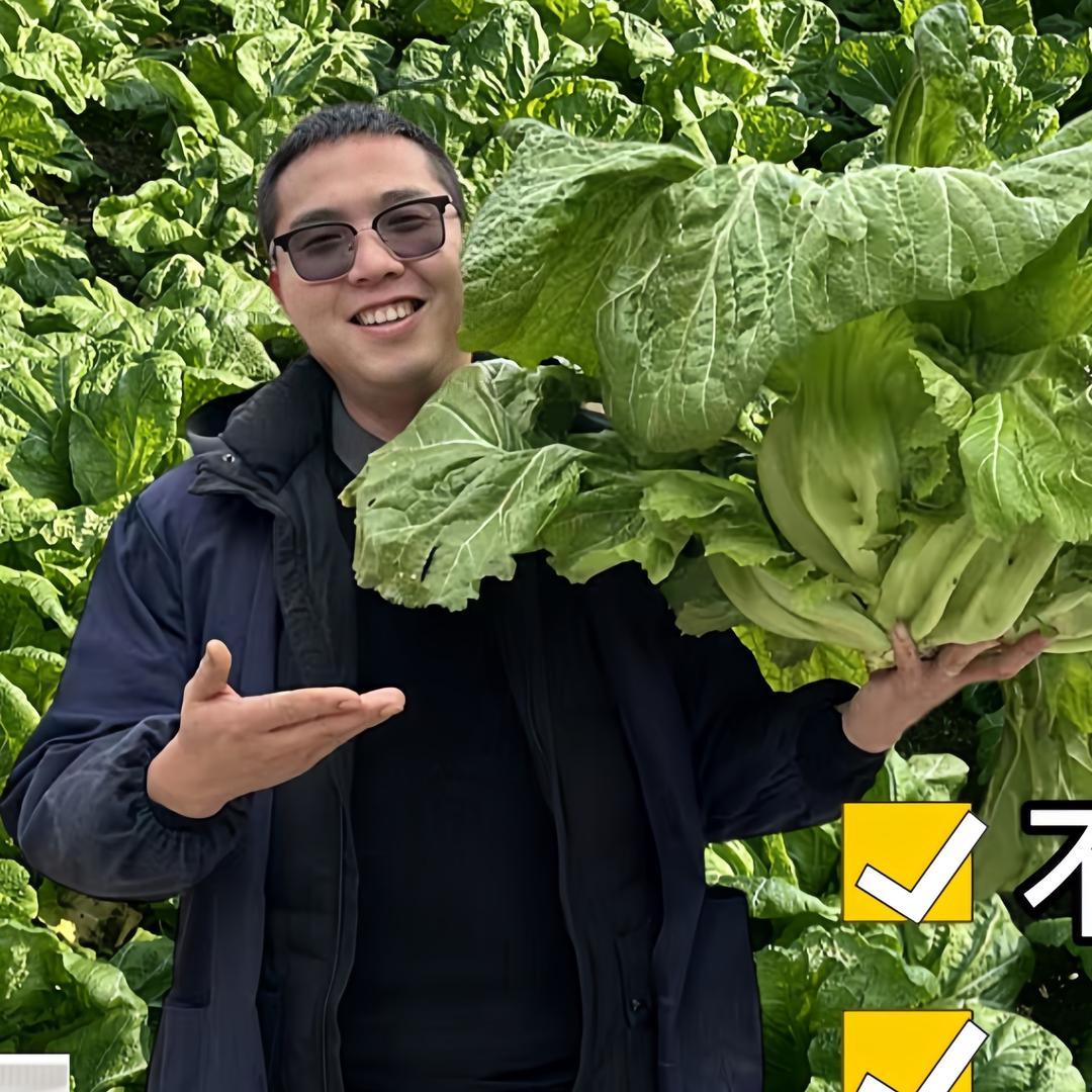 陈老弟谈农业🥬