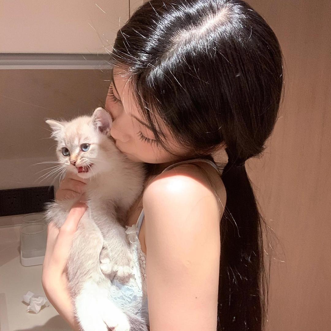 小酪蛋糕