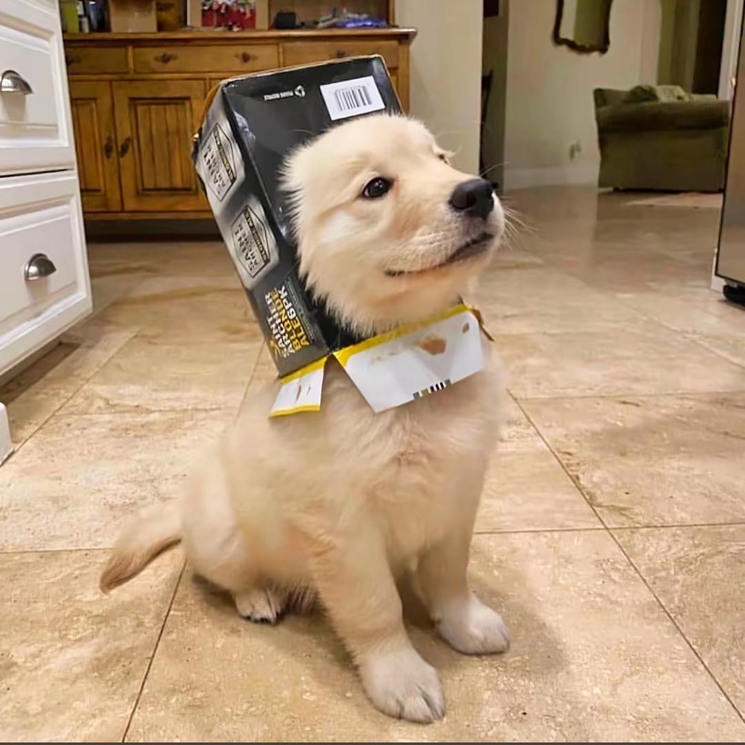 Elowen