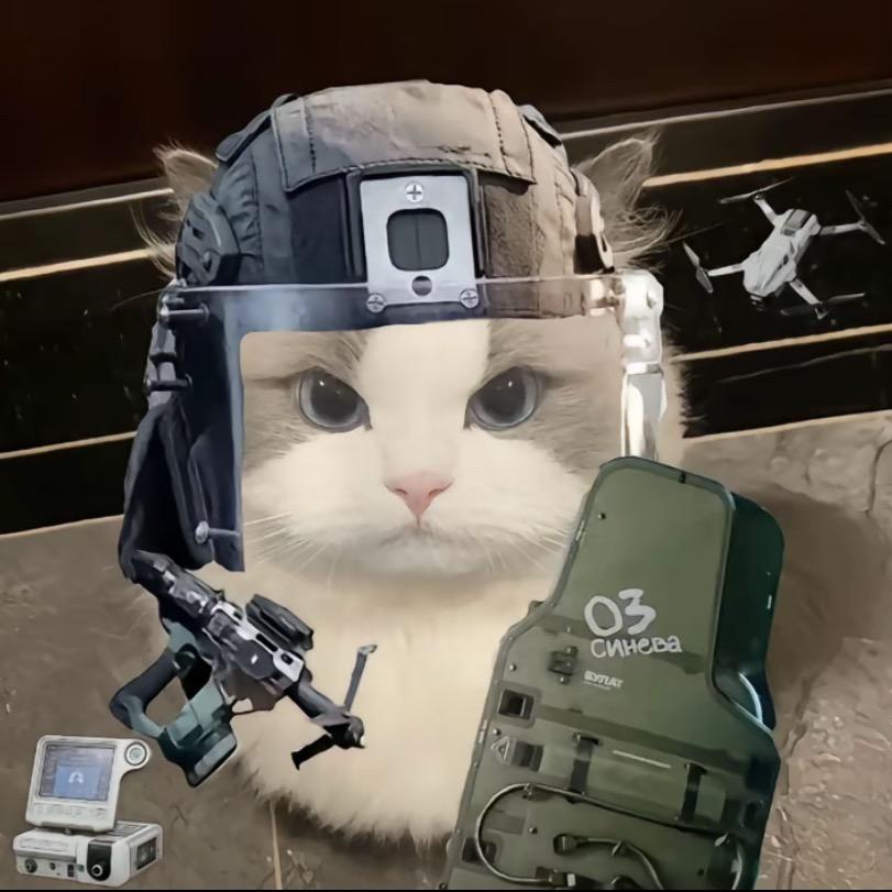 星辰（三角洲行动）