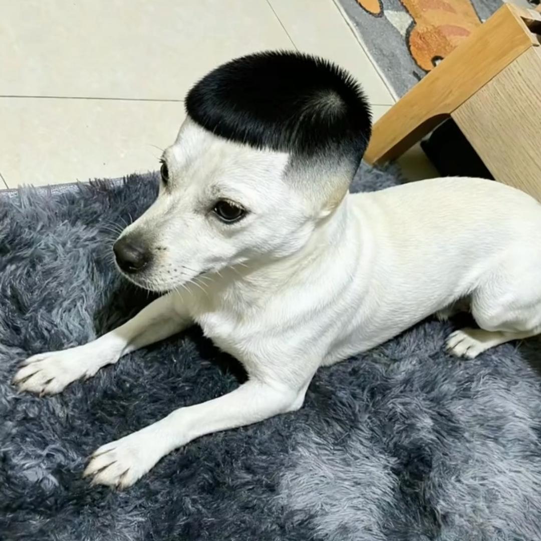 刘不住-