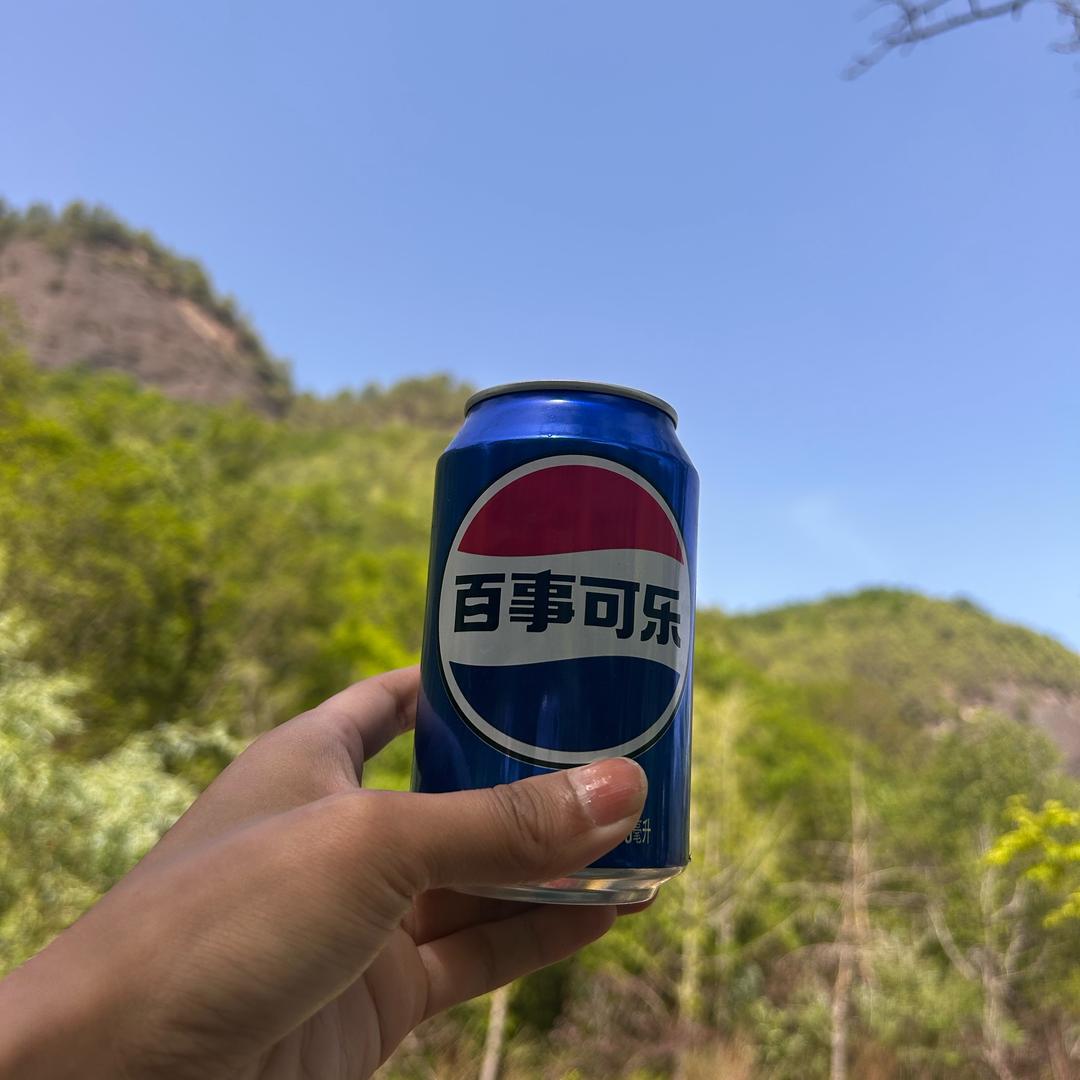 消失的她