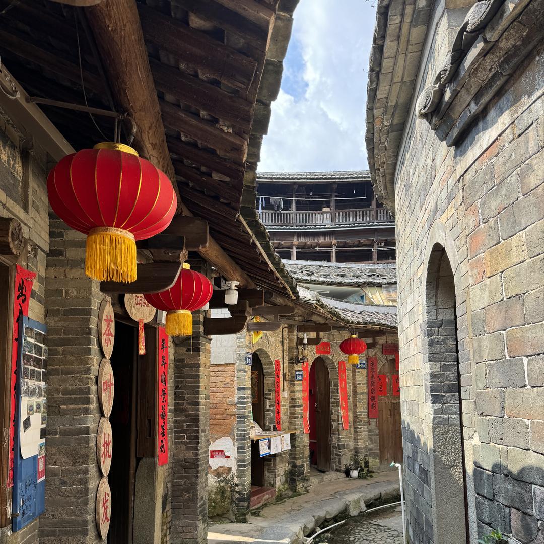 荔枝多多