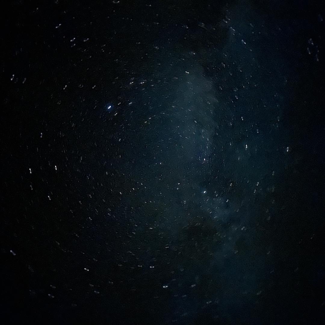 Y1MI.