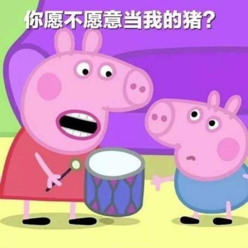 卷毛猪猪🐷