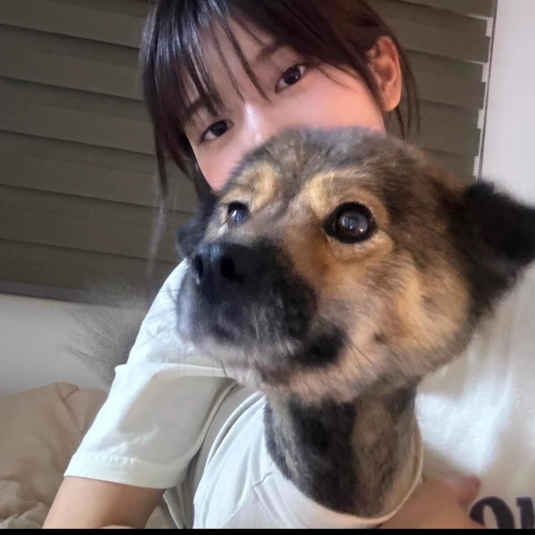 蒋鱼小丸子.-.