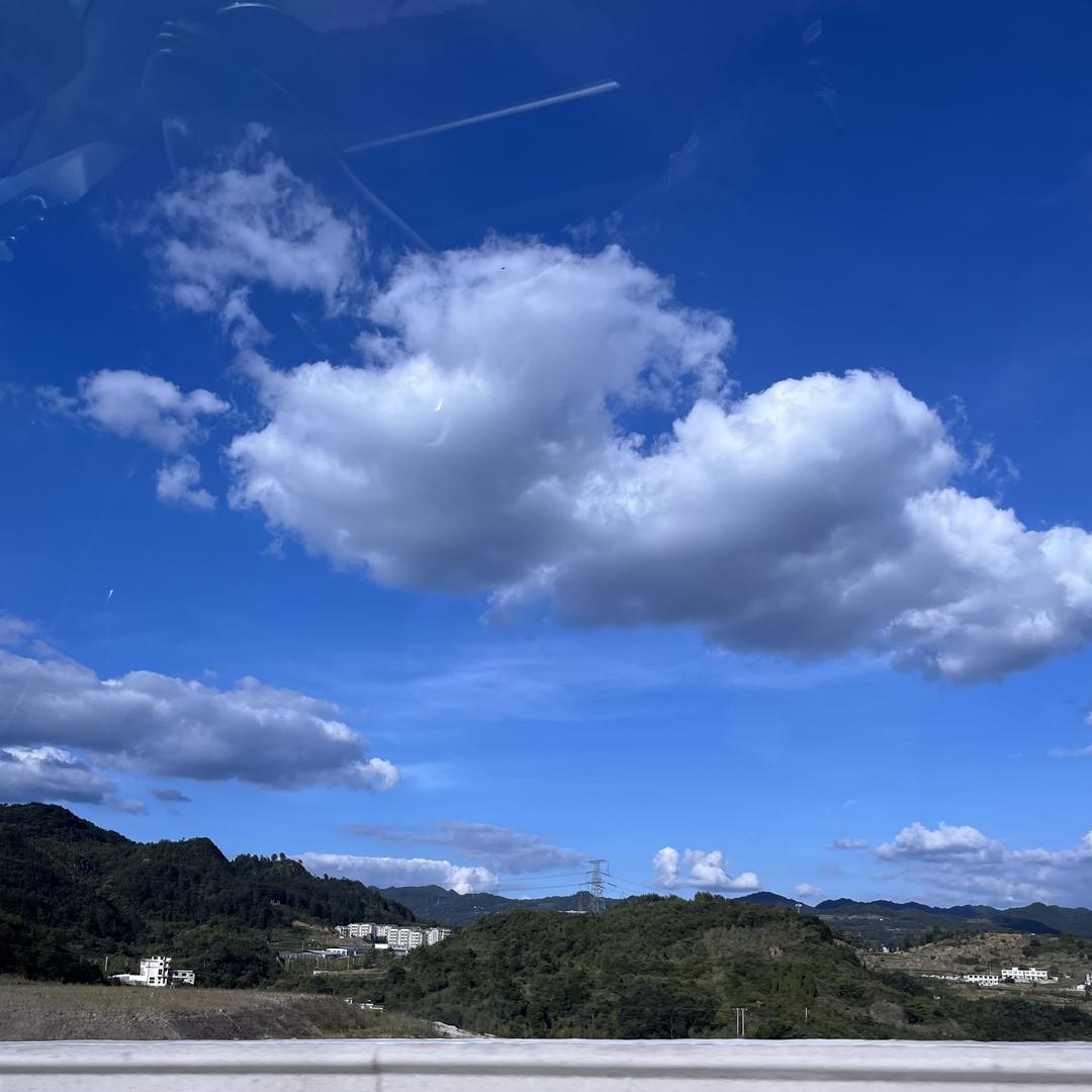 桃跑不了