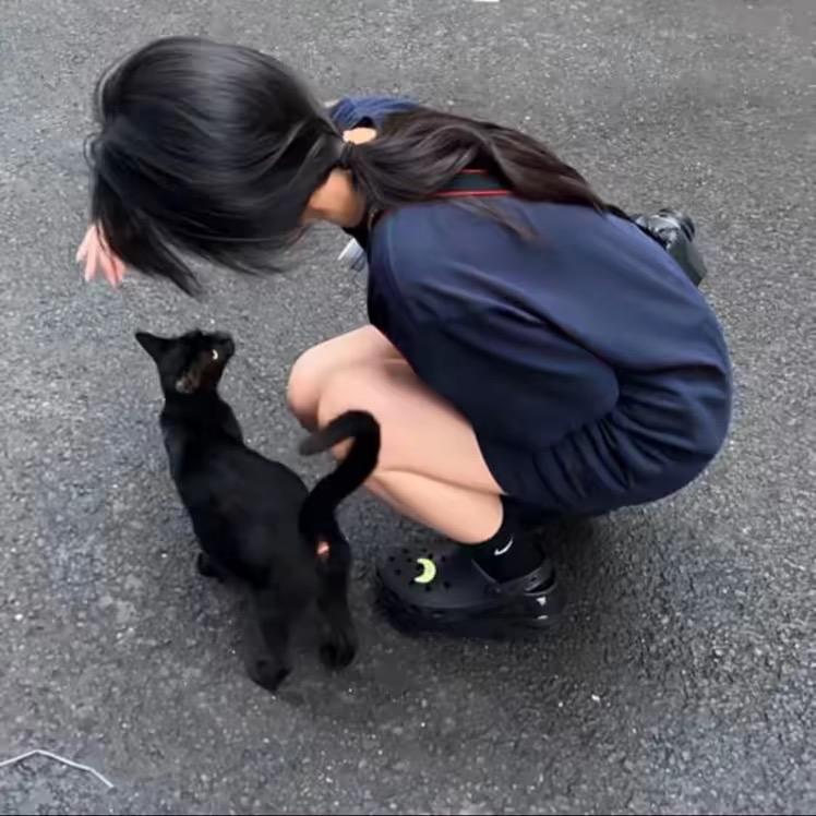 米依.