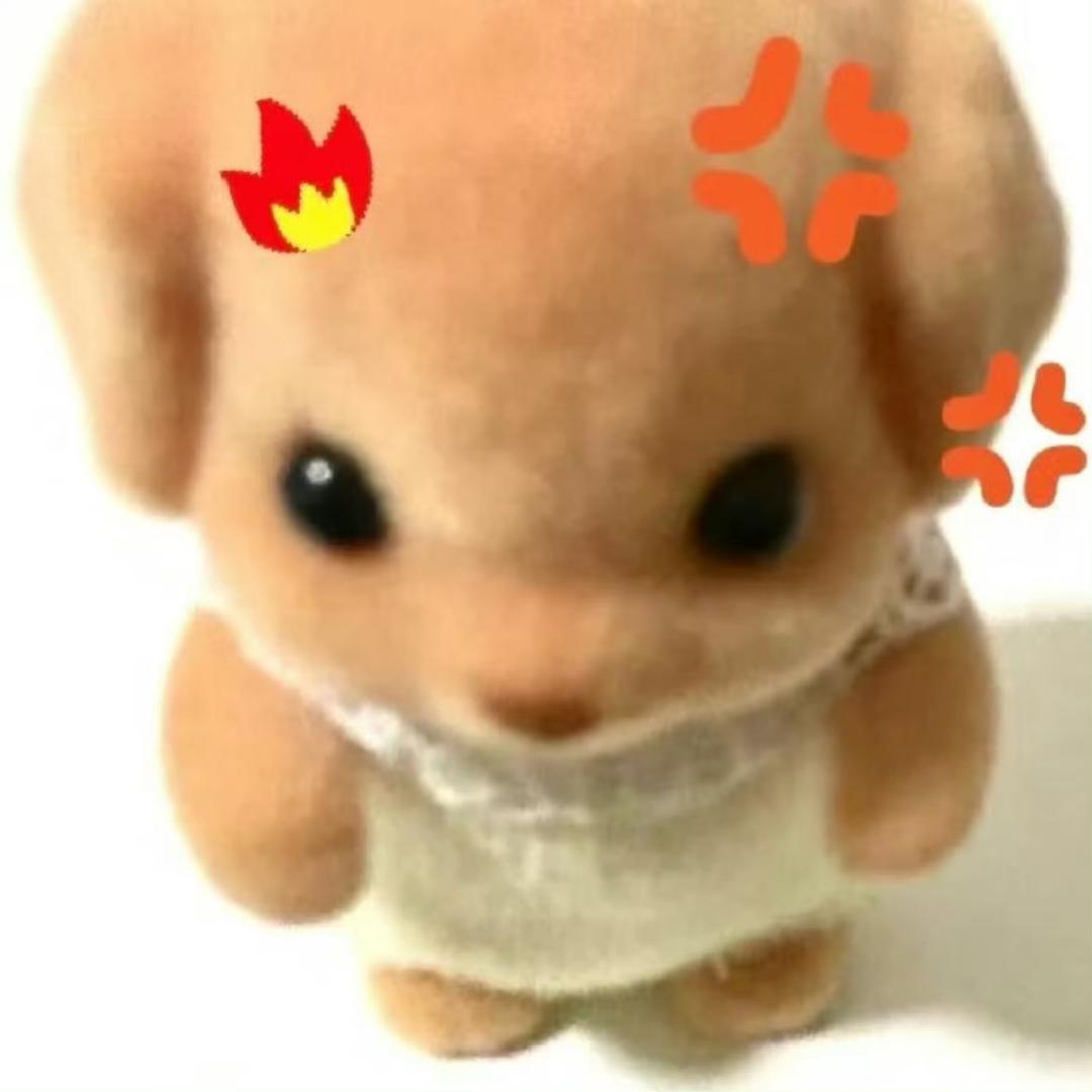 叫叫