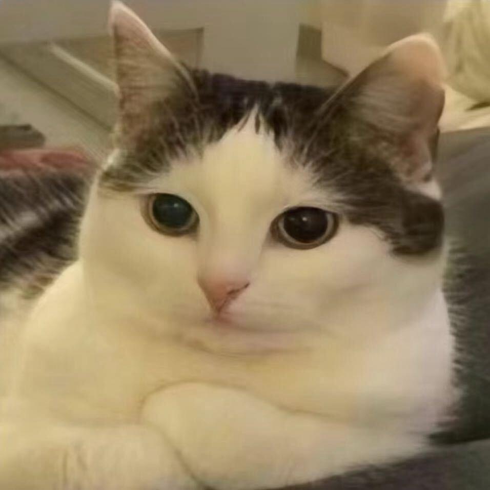 成都平安金融-小余