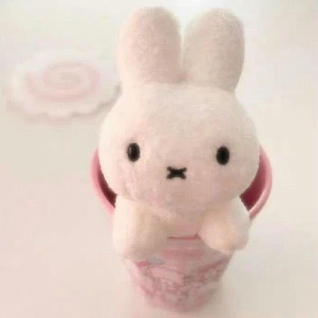 我有一只小兔