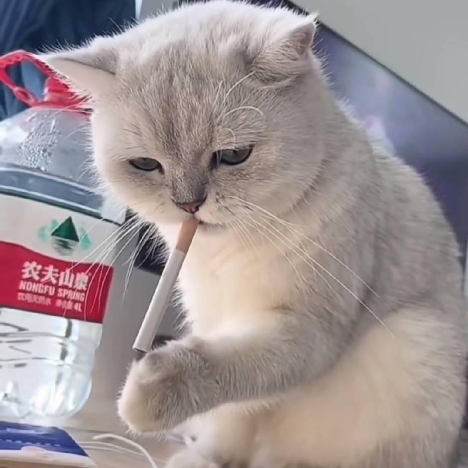 繁荣易.(主页地铁百人群)