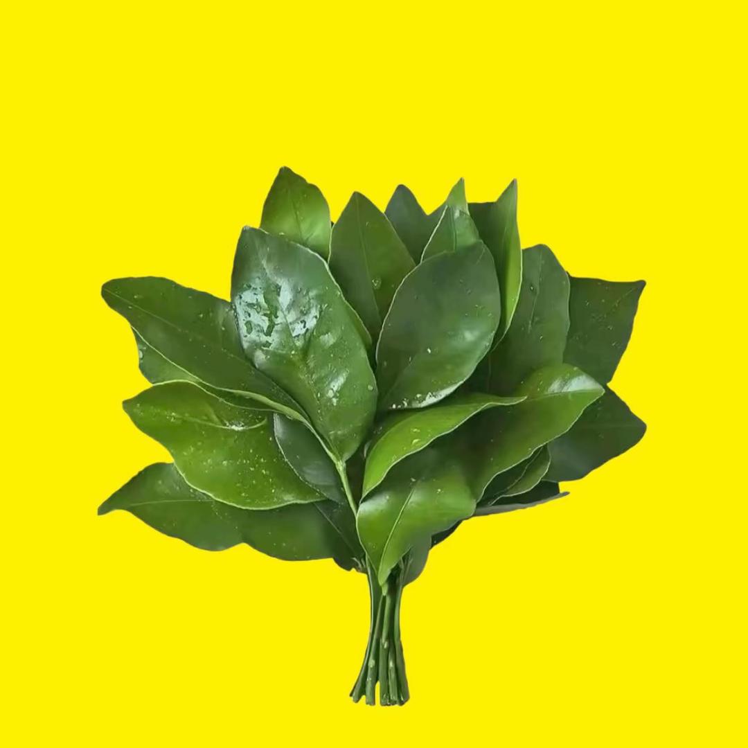 葡小萄