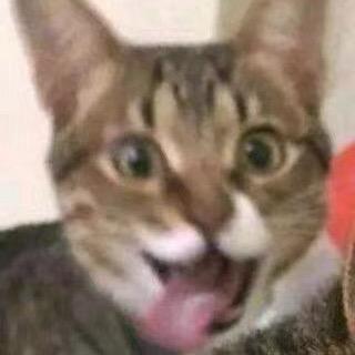 绝情小土豆