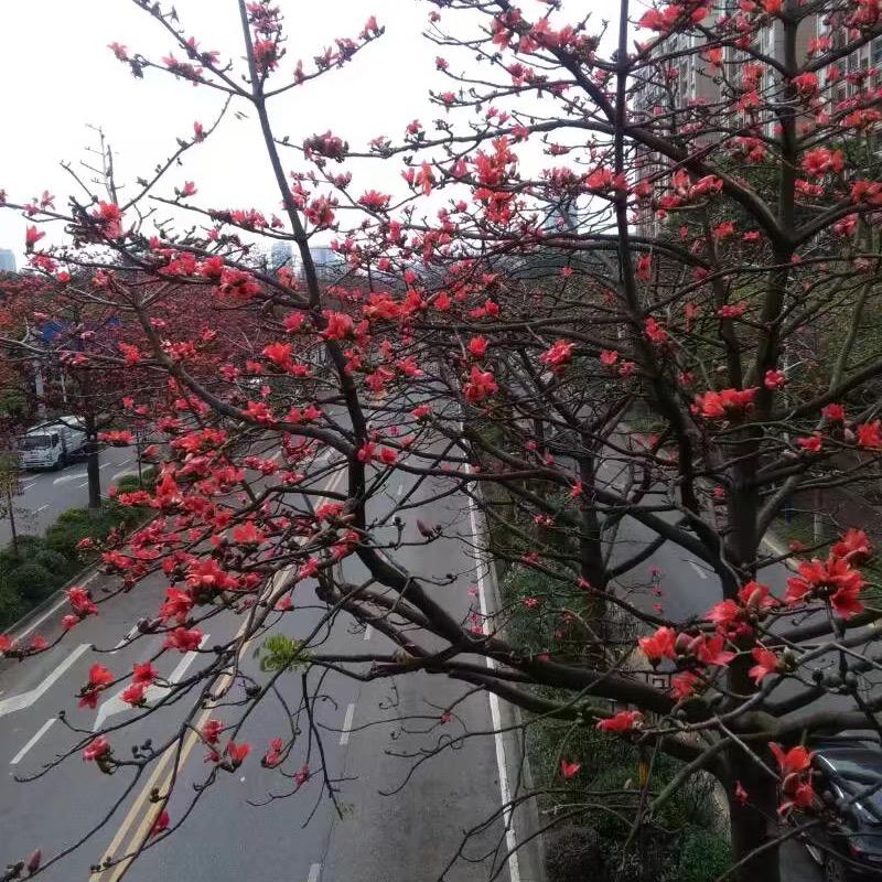 静和