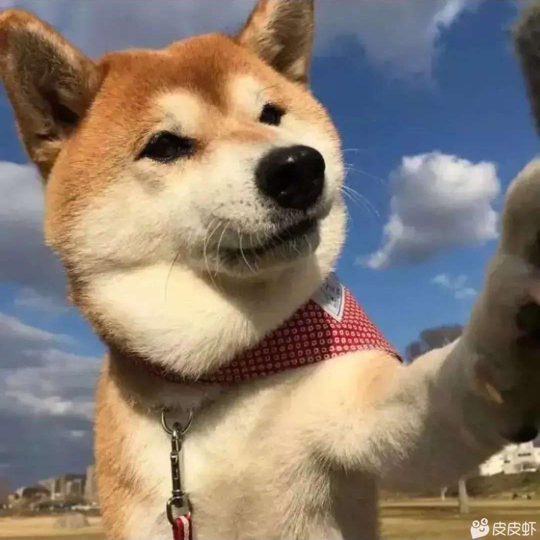 在路上  。
