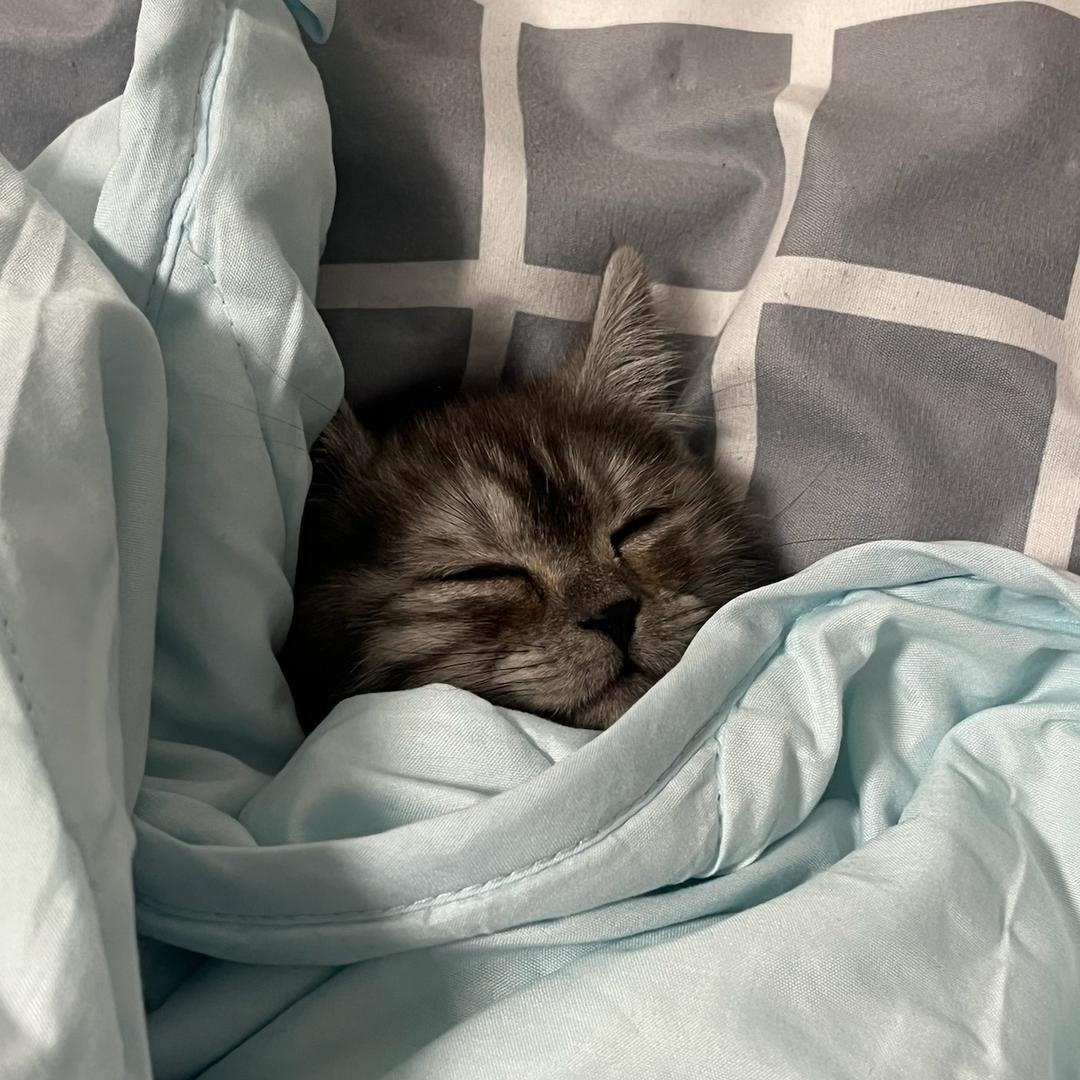 D.oshhuk^🧊