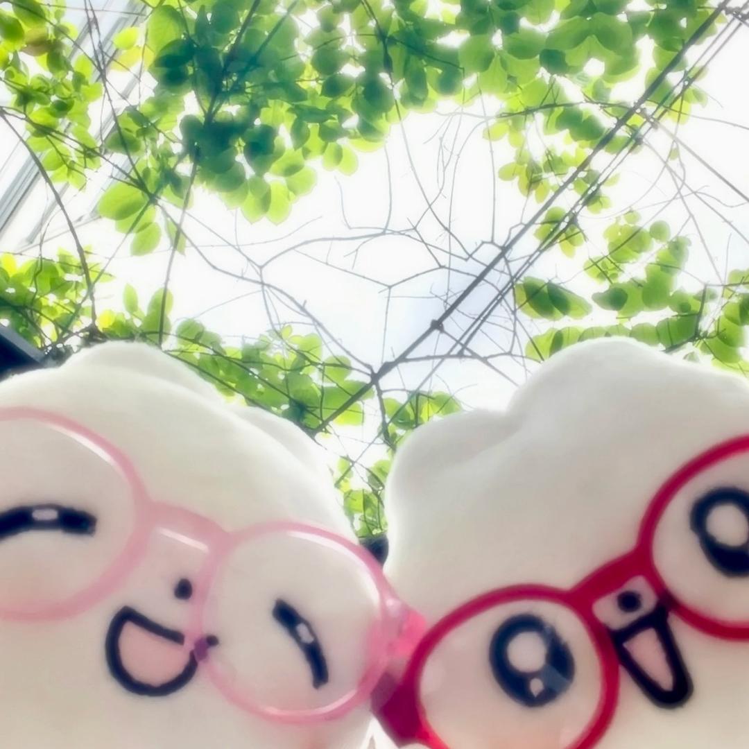 yoriの小世界