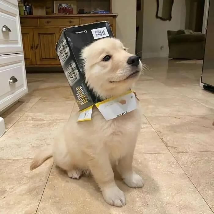 张大力同志